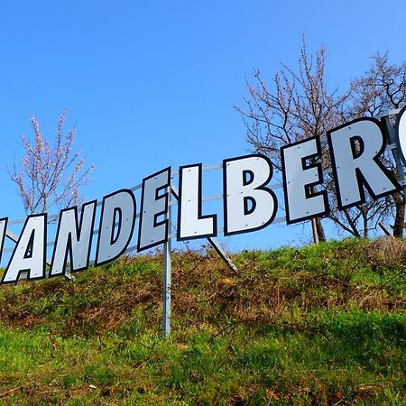 Hotel Le Mandelberg Mittelwihr Exterior foto